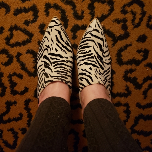 Brand New Cupid Zebra Striped Mules! - Picture 7 of 9